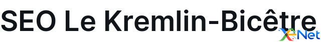 SEO Le Kremlin-Bicêtre